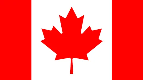 范戴克巅峰较量：挑战顶级边锋，布拉德利尽显卓越风采