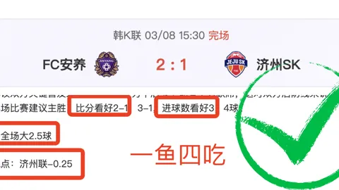 澳网女单次轮激战：高芙对决伯雷奇，赛事亮点回顾